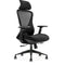 KH-220 Full Function Ergonomic Office Chair