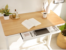 W-KT118W-NW 多合一站立電動升降桌 (橡木桌面+白色框架)