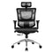 DS-001 Ergonomic Office Chair High Back Mesh Chair