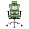 DS-001 Ergonomic Office Chair High Back Mesh Chair