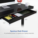 W-KT118WB 多合一站立電動升降桌 (核桃棕木桌面+黑色框架)